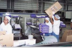 Empleos Sin datos  Empleos